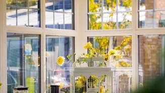 Casement Windows thumbnail